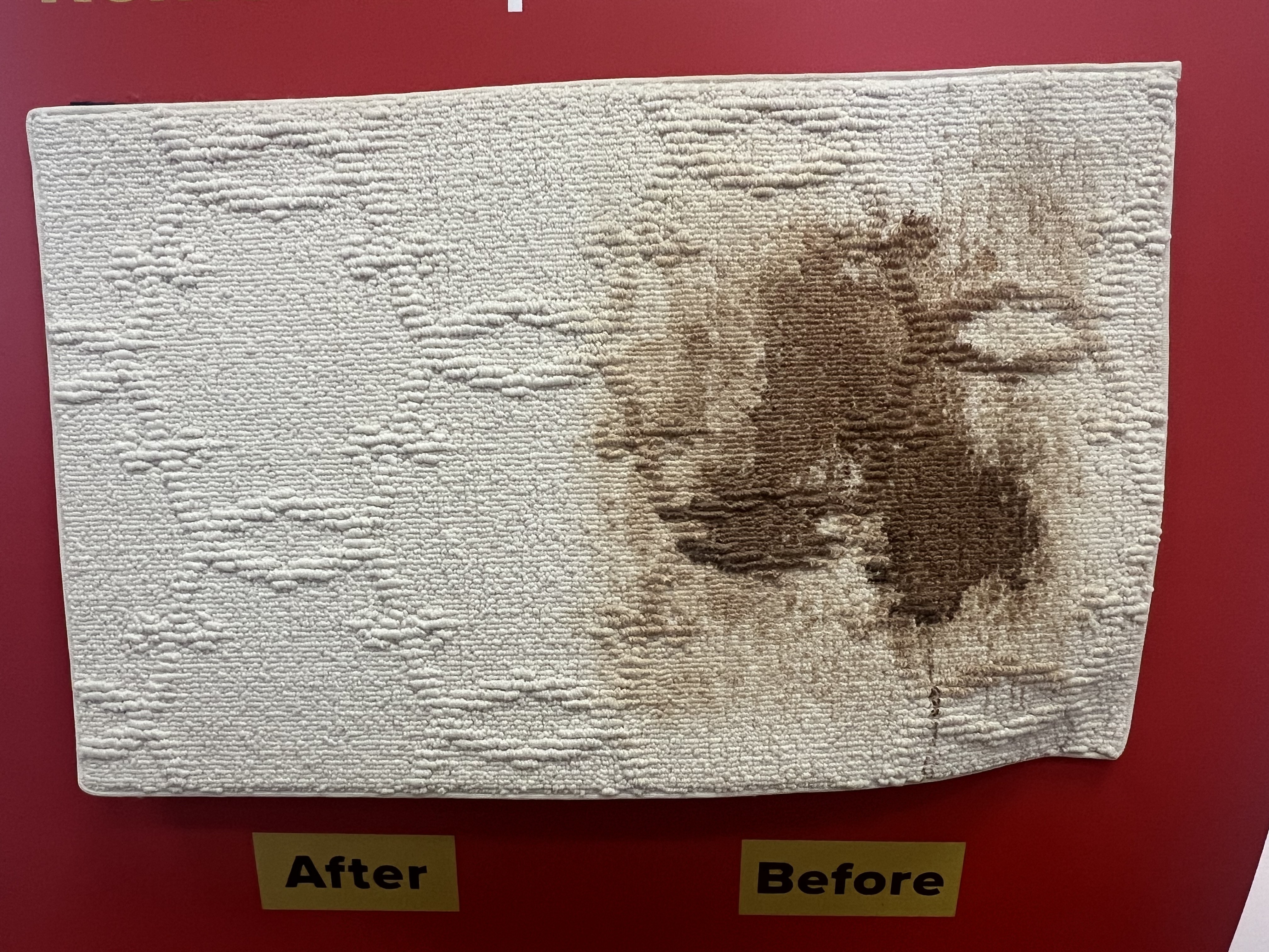 An area rug with the left half professionally cleaned and the right half still stained