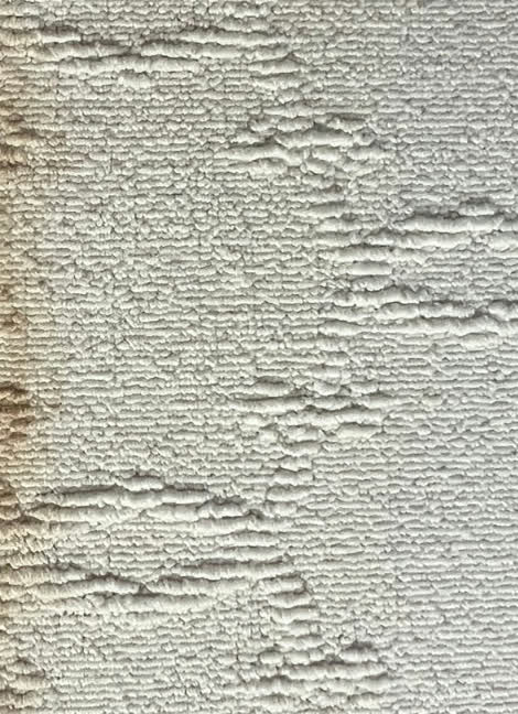 The same carpet clean and stain-free after Royalty hot water extraction