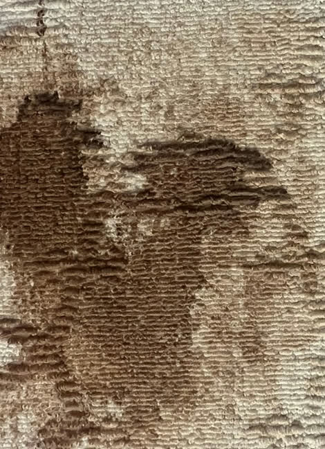 Carpet with a deep set-in brown stain before cleaning