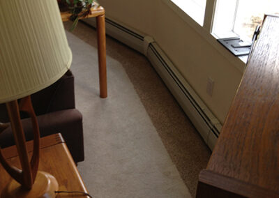 Carpet Cleaning Albany Example Carpet