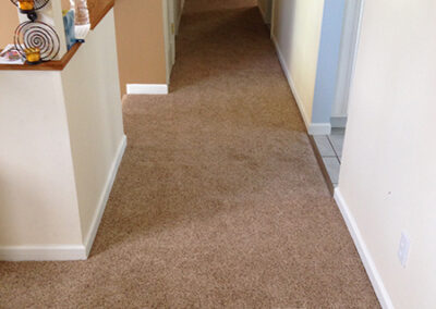 Carpet Cleaning Albany Example Carpet House