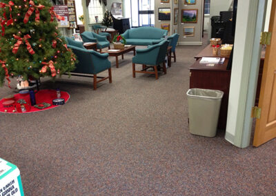 Carpet Cleaning Albany Example Carpet Business