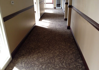 Carpet Cleaning Albany Example Carpet