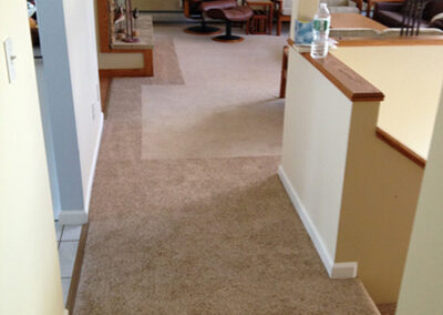 Carpet Cleaning Albany Example Carpet House