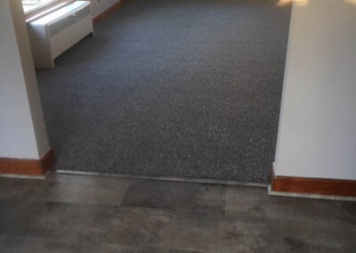 Carpet Cleaning Albany Example Carpet